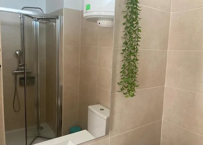 Path Biblioteca * بورتو