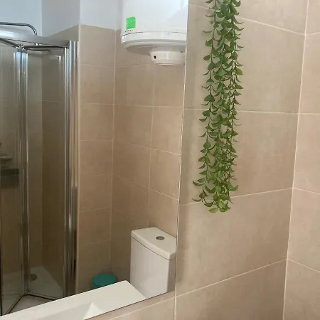 Path Biblioteca * 포르투