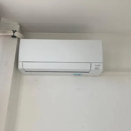 Path Biblioteca 포르투